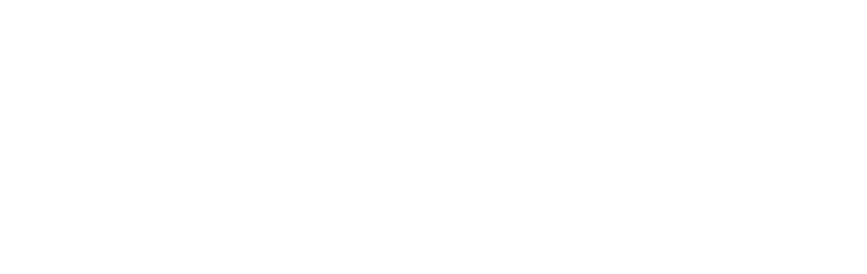 castor_logo